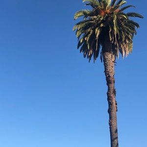 Meet your Posher, Dominick